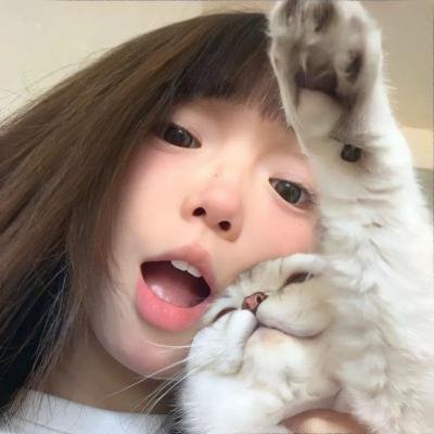 杀科 封面